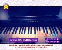 پیانو نوازی در کیش،پیانو،پیانو نوازی،کیش پیانو ،هنرمند و پیانو