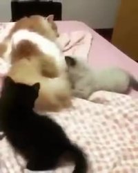 من نبودم من خواب بودم