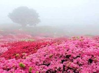 شاهکار طبیعت ایران