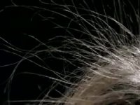 الکتریسیته ساکن