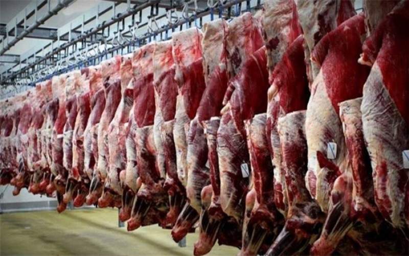 ادامه روند کاهشی گوشت قرمز
