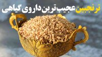 ترنجبین عجیب ترین داروی گیاهی