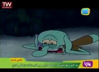 باب اسفنجی-کلوب اسفنجی