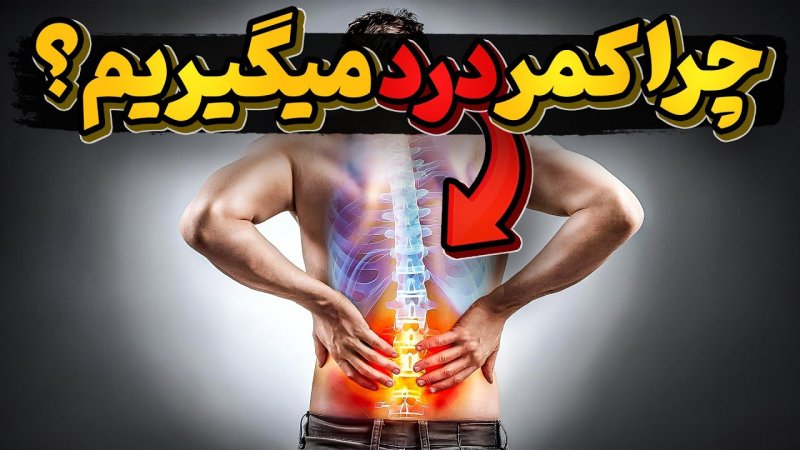 چرا درد کمر و ستون فقرات اینقدر در انسان ها فراوانه؟