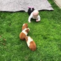 ببینین و شاد بشین