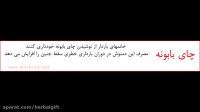 گیاه بابونه مفید برای بانوان