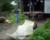 خرابکاری سهوی