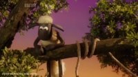 Shaun the Sheep – The Coconut