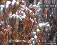 بارش برف در کوهستان های گیلان