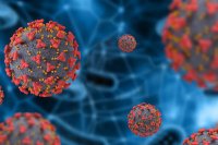 اجرای آزمایشی طرح مدیریت هوشمند کرونا