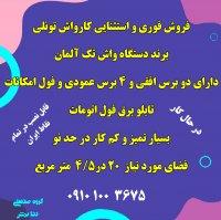 تولید برس و فرچه ضدخش برای کارواش های اتومات