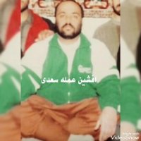 شیرهای شیراز