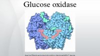 آنزیم گلوکز اکسیداز 09108165668