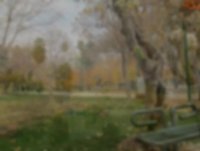 شهر زیبای شیراز