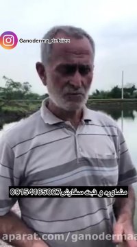 تجربه مصرف گانودرما با گويش زيباگيلكي٠٩١٥٤١٦٥٠٢٧