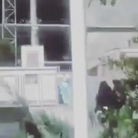 برای آینده دخترانم نگرانم...