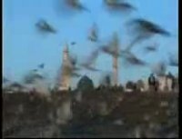 حورای هستی 4