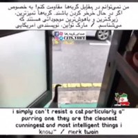 غذا دادن به یه موجود بی پناه باعث برکت کسب و کار میشود.