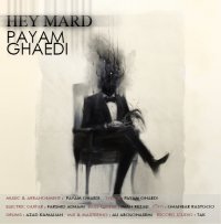 Payam Ghaedi - Hey Mard