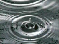 Relaxing Rain Music With Harp