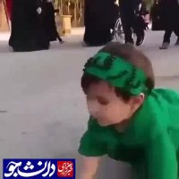 کوچک ترین زائر اربعین