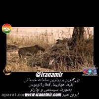 نجات بز کوهی از دست یوزپلنگ توسط میمون