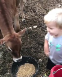 محبت رو از این کودک بیاموزید