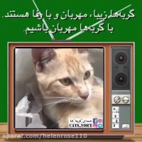 با حیواناتى كه در همسایگى مازندگى میكنند مهربان باشیم