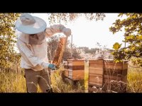 فروش عسل طبیعی وارگانیک