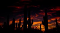 Sonoran Desert Sunset Timelapse