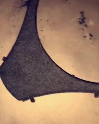 دستگاه_مخمل_پاش09362709033