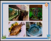 درس علوم سوم ابتدایی : شنبه 6 اردیبهشت