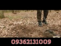 کشف گنج09362131009-09372131009