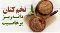 تخم کتان دانه ریز پرخاصیت