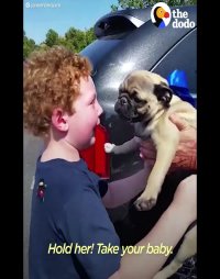 غافلگیری پسربچه با سگ کوچولو