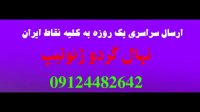 خرید نهال گردو شیلی پیوندی  09197722218