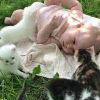 جمع شدن کوچولو ها دور هم