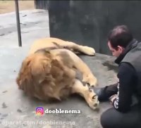 نامزد بازی و خواب و خیال