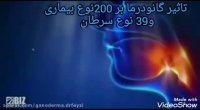 گانودرما لوسیدوم اصل و خالص و ارگانیک09148002795