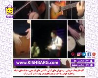 شادمهر عقیلی کنسرت خیابانی گروه تهران،کیش ارزان