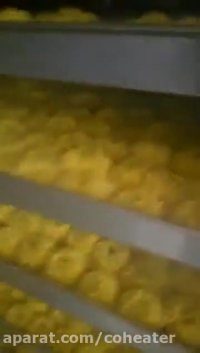 بهترین شیوه برای تهیه ی میوه خشک