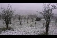 بارش برف پاییزی در اردبیل