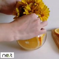 یک ایده زیبا | nect.ir