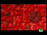 جنسیت نوزاد با مرد است یا زن؟