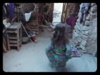 فیلم درخت گردو