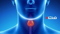 بررسی عملکرد تیرئید در بدن
