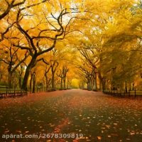 اشعار مذهبی - علی ای همای رحمت - خواننده علی سیار