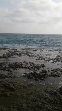 اینجا بندر زیبای چابهار