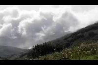 جنگل فندقلو، روح دلنواز طبیعت در اردبیل