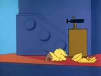 انیمیشن تام و جری _ کارتون تام و جری _ کارتون موش و گربه